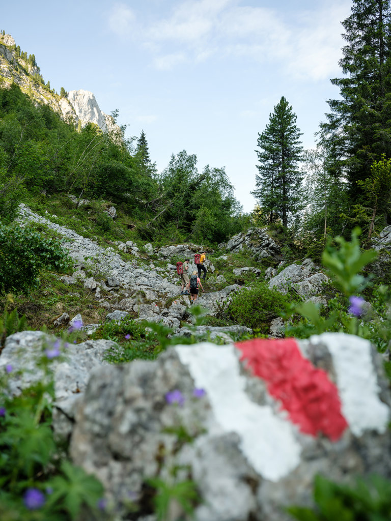 Wandern