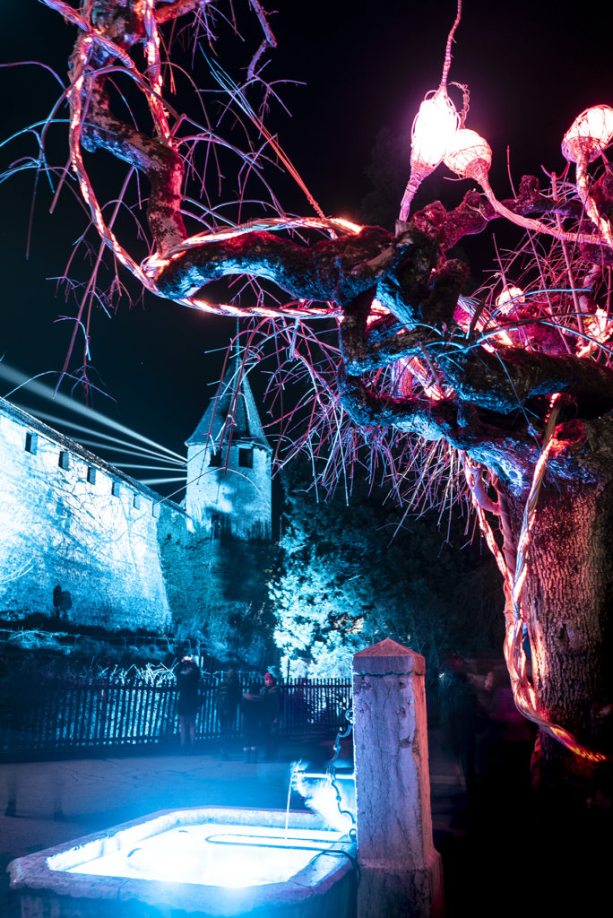 Murten Lichtfestival 2020